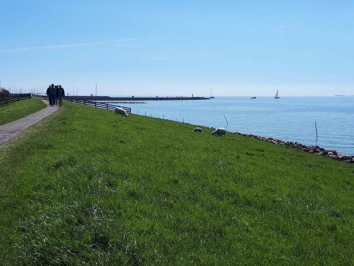 Heerlijk Huis Aan Het Ijsselmeer Stavoren Kültér fotó